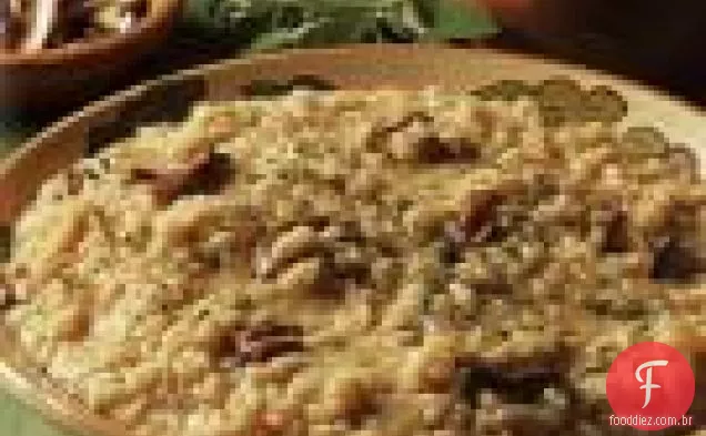 Porcini, Cebola Caramelizada E Risoto De Sálvia