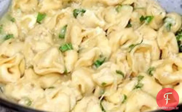 Tortellini Bites