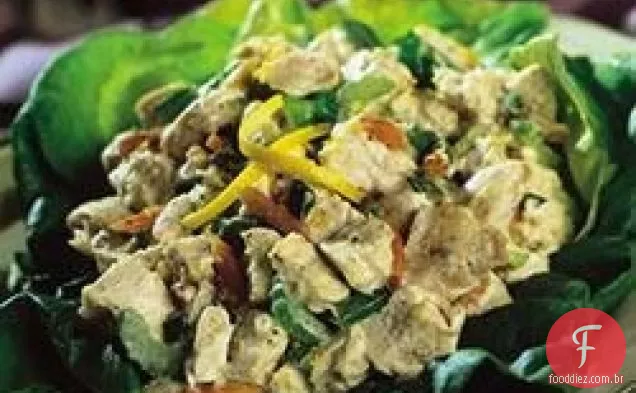 Holland House ® Lemon Chicken Salad