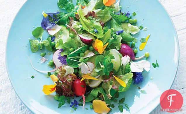Salada Eat-your-garden