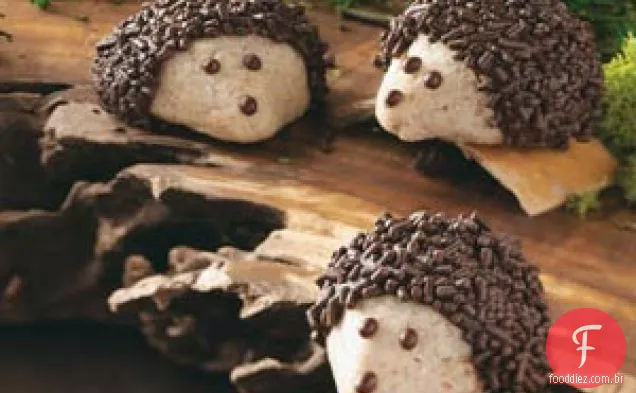 Chocolate-Pecan Hedgehog Cookies