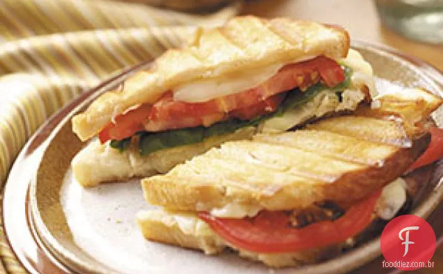 Monterey Alcachofra Panini