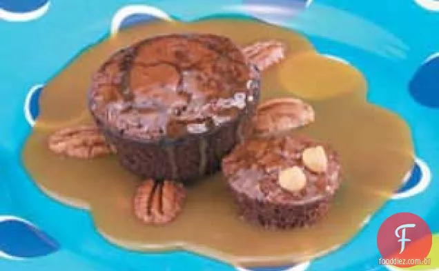 Tartarugas Brownie