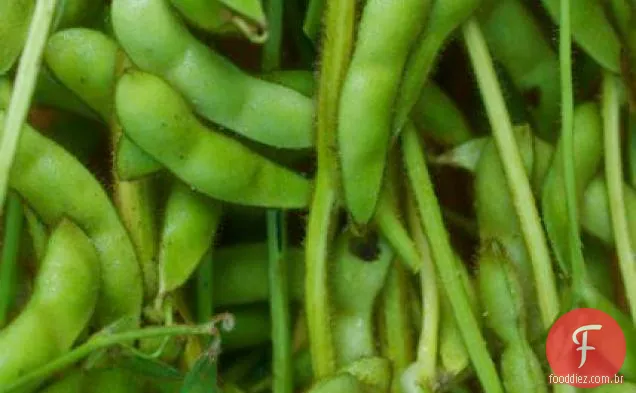 Succotash No Final Do Verão