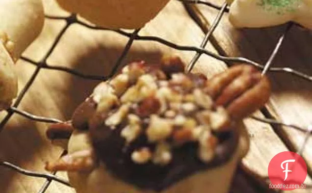 Bolachas Em Forma De Tartaruga