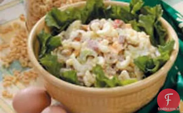 Tudo Salada
