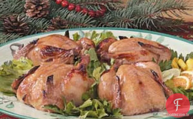 Galinhas De Caça Da Cornualha