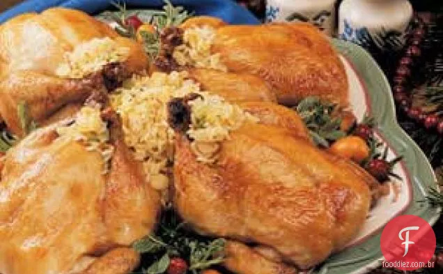 Galinhas Da Cornualha Com Vidros Alaranjados