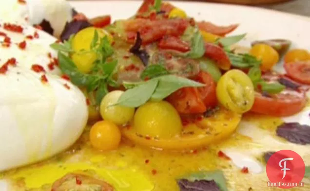 Salada De Tomate Mothership