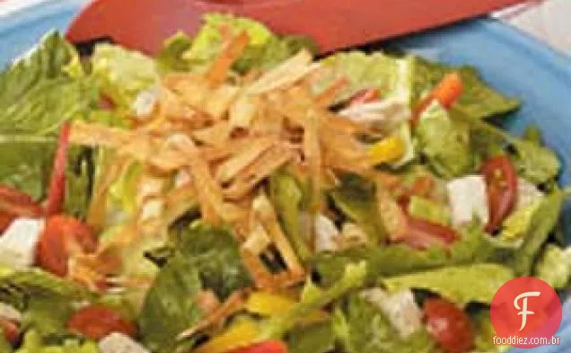 Salada de frango com Wontons crocantes
