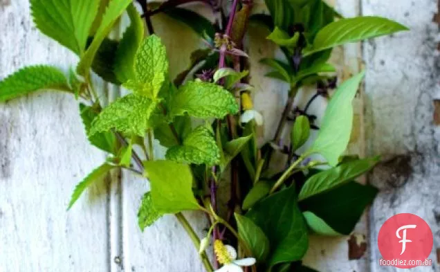 Rolos de papel de arroz fresco (primavera/verão) com ervas e vegetais em