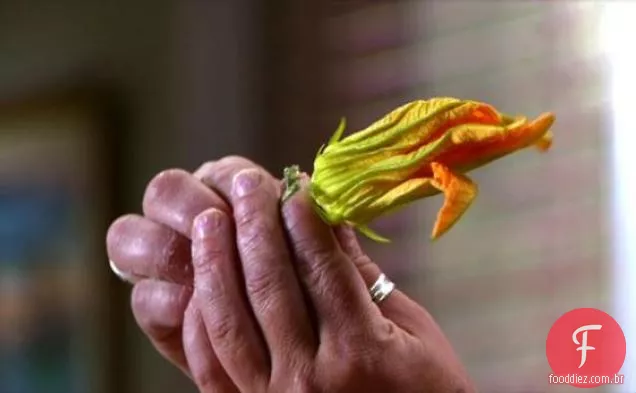 Flores de abobrinha recheadas com salada de tomate tradicional