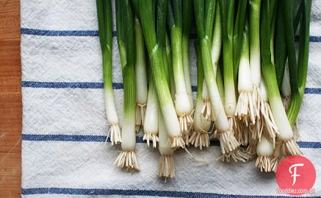 Ginger Scallion Sauce