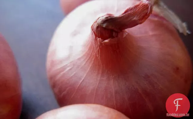 Cebola Cipolline Recheada