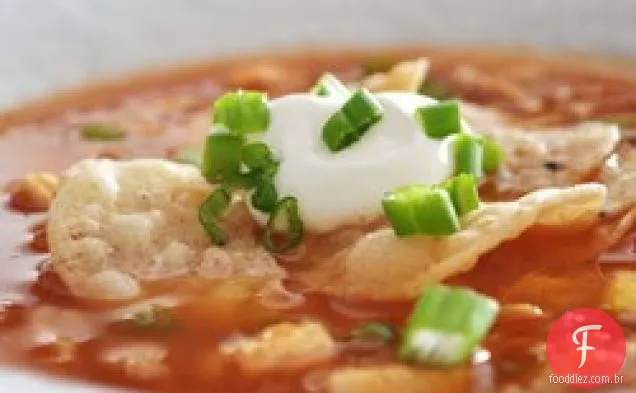 Sopa de Tortilha de Frango V