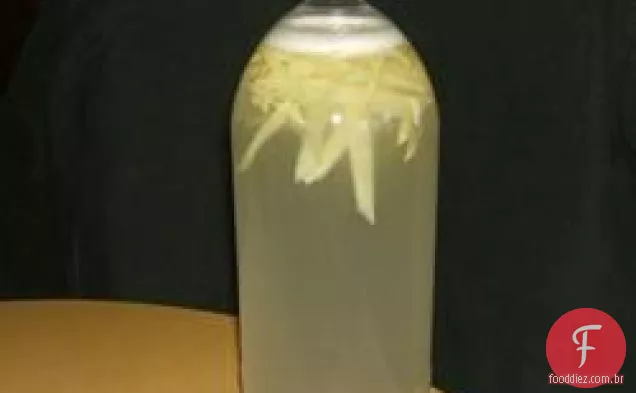 Ginger Ale caseiro
