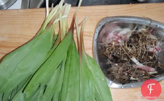 Receita Picante De Rampas Em Conserva