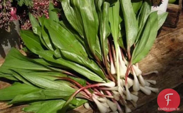 Rampas Com Romesco
