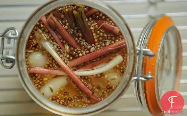 Rampas Em Conserva Doces E Picantes