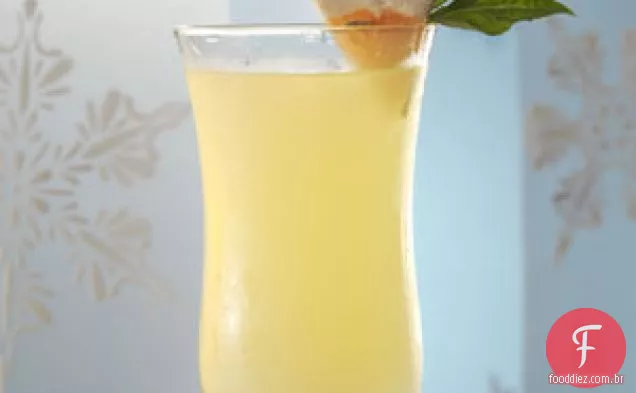 Coquetel de Manjericão Cítrico