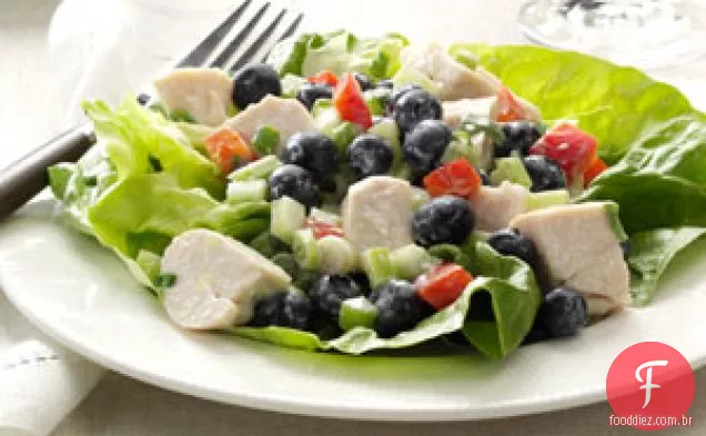 Salada de Frango com Mirtilos