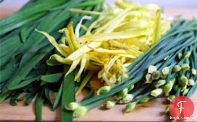 Raiz De Bardana