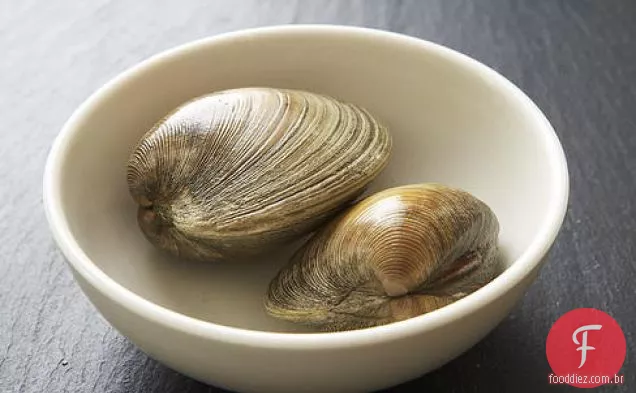 Pote De Frutos Do Mar