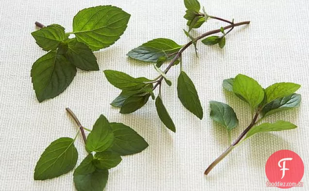 Prato de ervas e salada Vietnamita