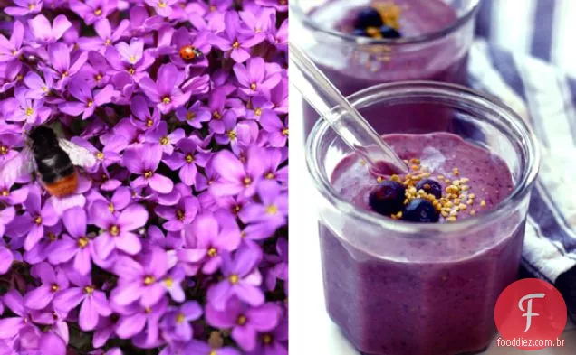 Smoothie De Pólen De Abelha