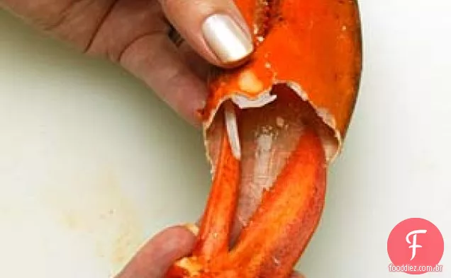 Salada De Lagosta De Limão E Gengibre