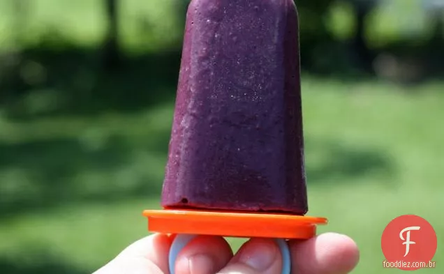 Amora-preta fresca-Ginger Yogurt Pops