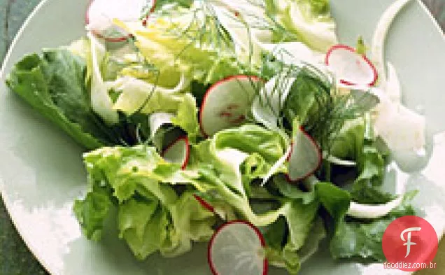 Salada De Erva-Doce, Escarola E Rabanete