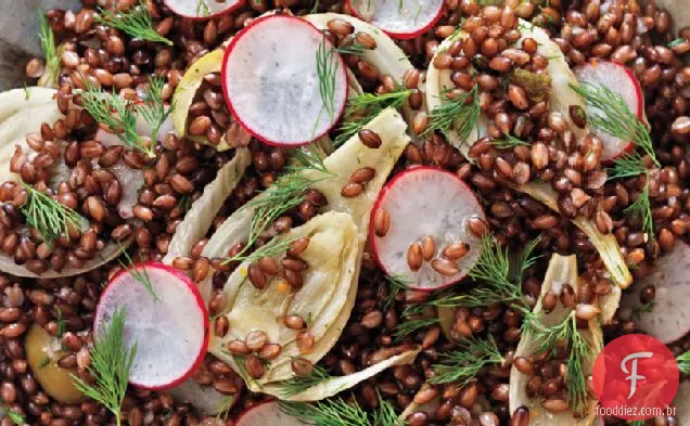 Salada De Cevada Preta, Erva-Doce E Rabanete