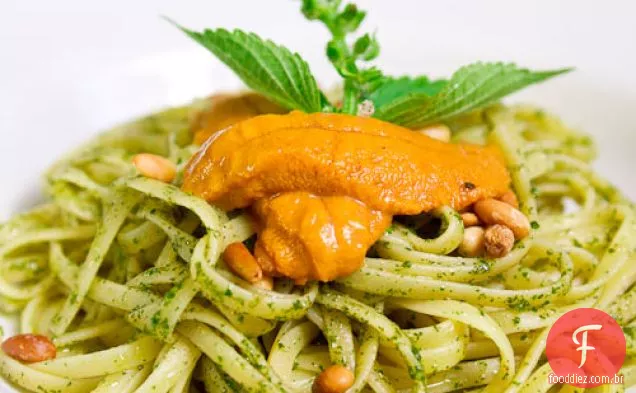 Massa Shiso Pesto Com Uni