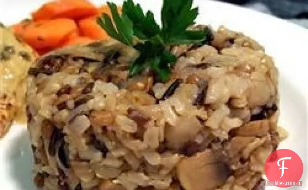 Caçarola de arroz selvagem II