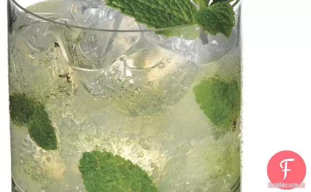 Mother Earth Mint