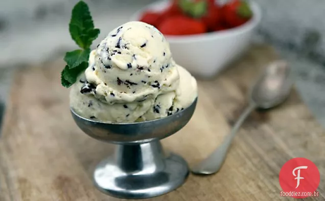 Mint Chip Ice Cream