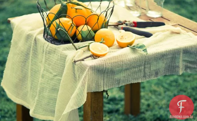 Meyer Limonada Com Receita De Alecrim