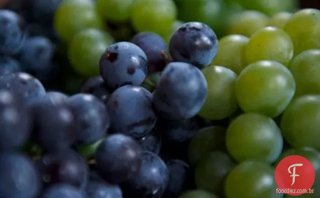 Concord Grape Sorbet