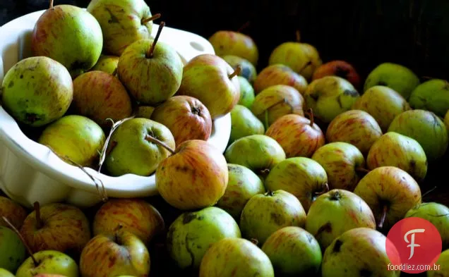 Wild Hedgerow Apple Jelly