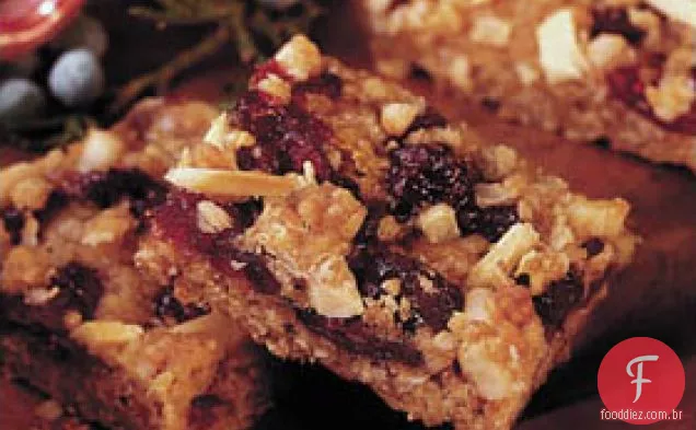 Cranberry Apricot Streusel Bars