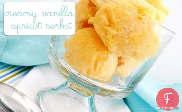 Sorbet Cremoso Do Damasco Da Baunilha Com Casca Branca Da Amêndoa Do Chocolate