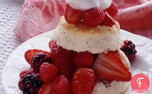 Shortcake De Baga Mista