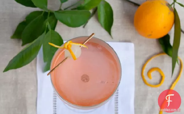 O Cocktail Bijouxs