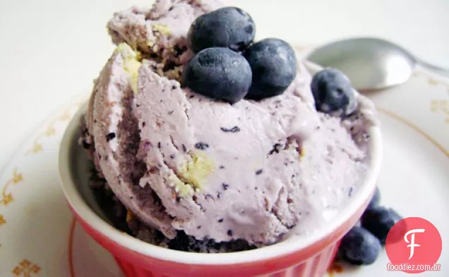 Blueberry Brie Tart Sorvete Melhor Lamber! 2008 Ice Cream Cont