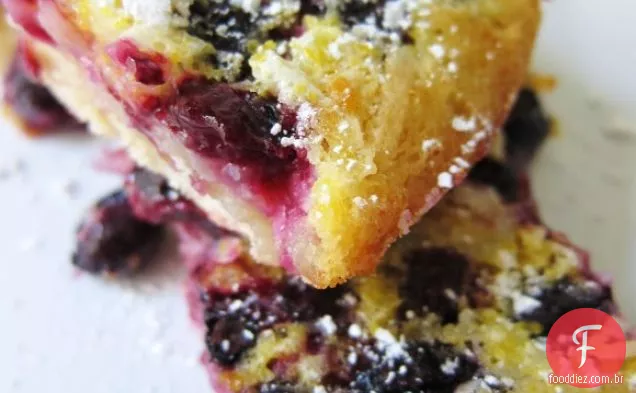 Blueberry Lemon Coconut Squares