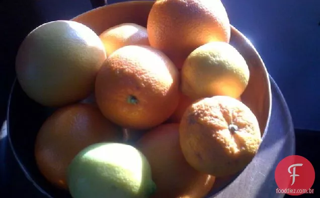 Citrus - Ginger Sorbet