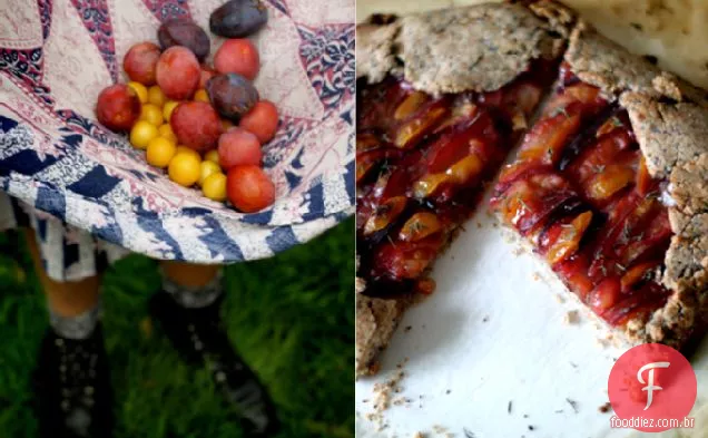 Plum Yummy Galette