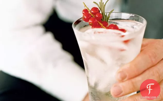 Rosemary Gin Fizz