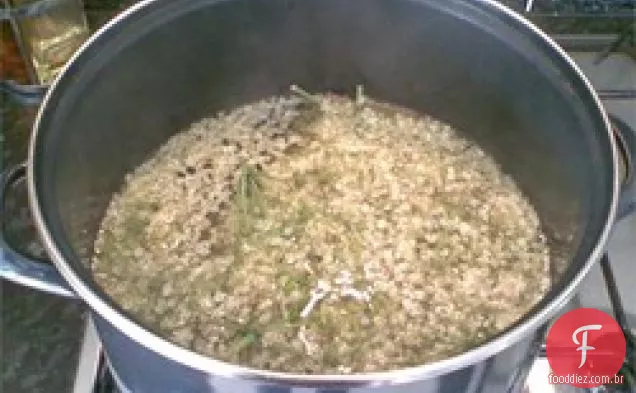 Concentrado Cordial De Sabugueiro